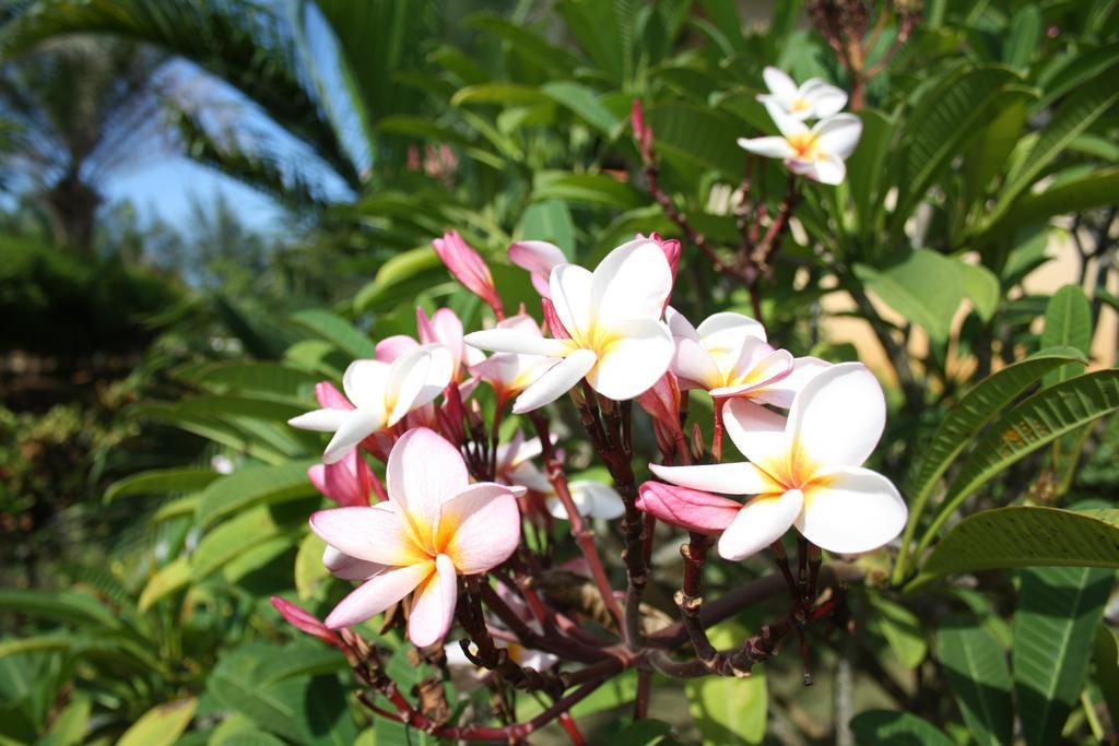 Ao Thai Resort Sathing Phra Exterior foto