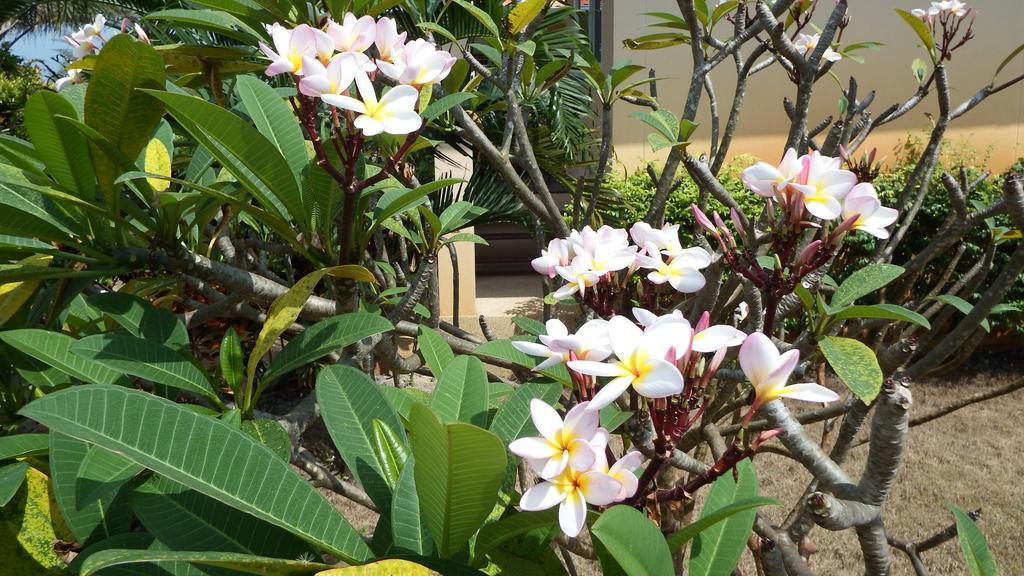 Ao Thai Resort Sathing Phra Exterior foto